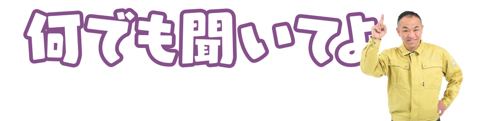何でも聞いてよ
